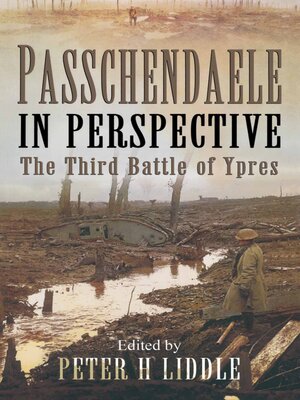 cover image of Passchendaele in Perspective